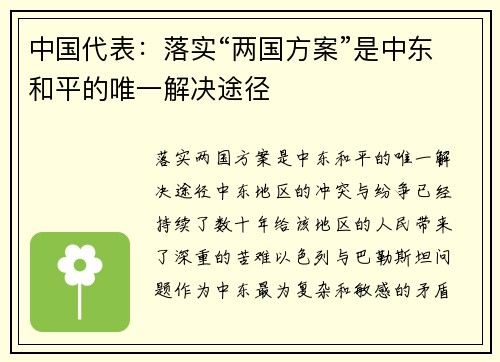 中国代表：落实“两国方案”是中东和平的唯一解决途径