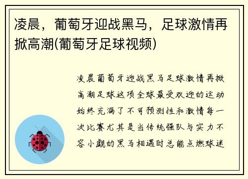 凌晨，葡萄牙迎战黑马，足球激情再掀高潮(葡萄牙足球视频)
